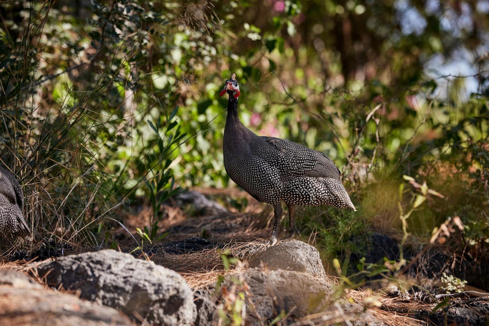 ホテル Robinson Sarigerme Park ダラマン エクステリア 写真
